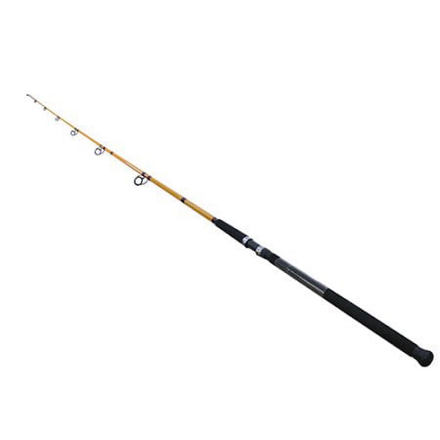 Surf Fishing Rod 11 Feet Mediu - Fishing Rod Surf recensie en prijs