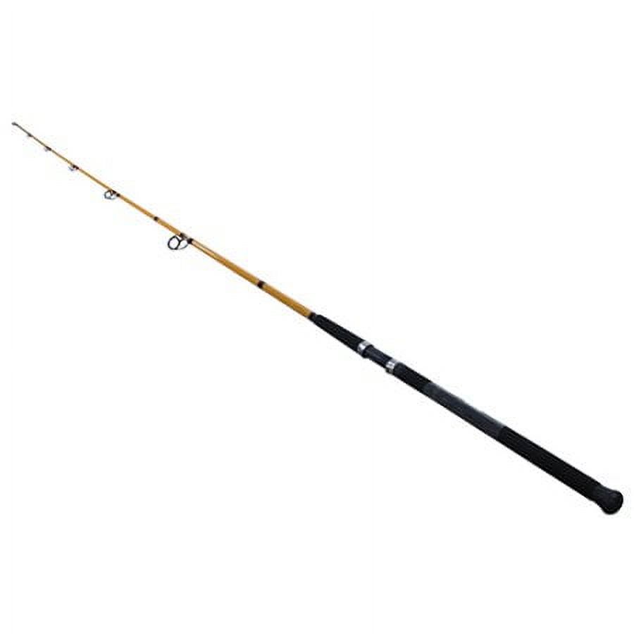 FT Series Fiberglass Surf Spin - Fishing Rod Surf recensie en prijs